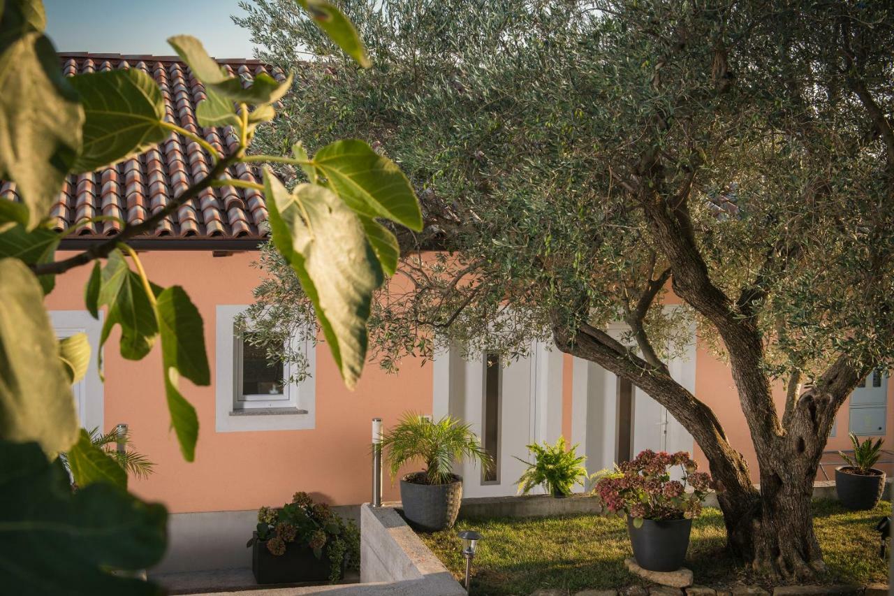 Appartement Apartma Seca *