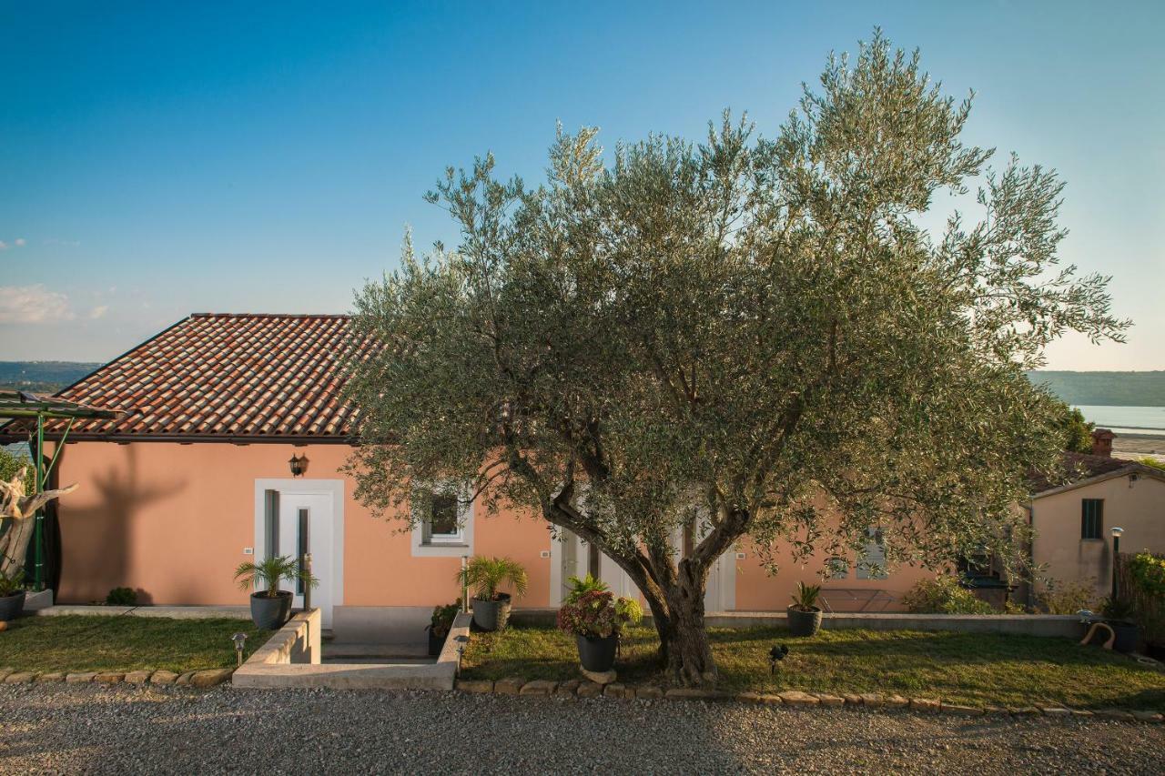 Apartma Seca Appartement