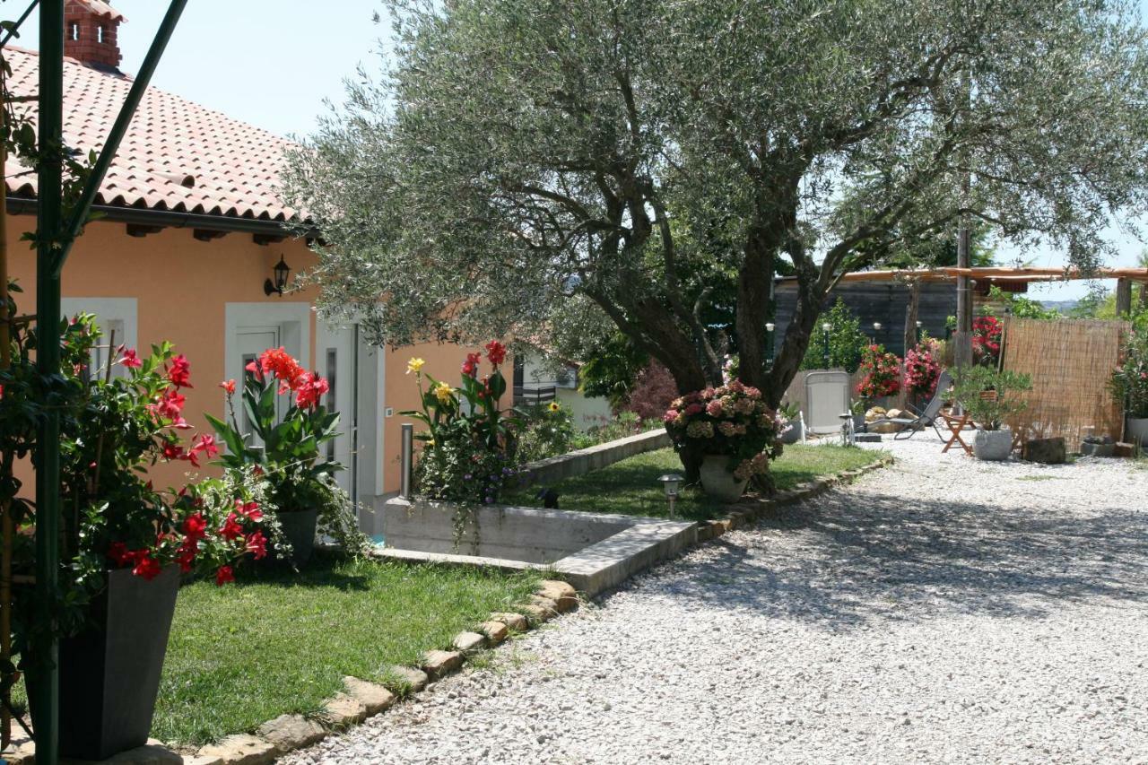 Apartma Seca